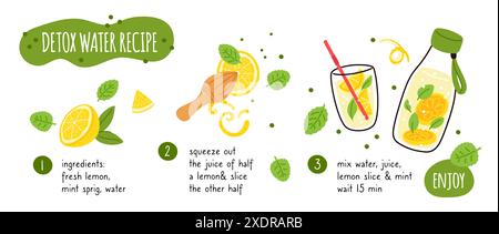 Recette d'eau détox. Limonade maison. Feuilles de citron et de menthe. Procédé de préparation de boissons saines. Ingrédients végétaliens. Jus d'agrumes. Zeste frais et citron Illustration de Vecteur