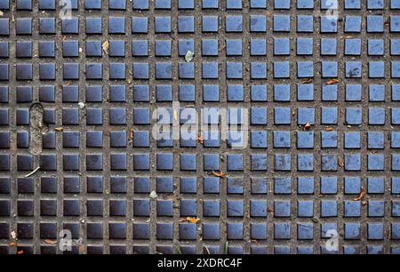 Détail de la couverture de trou d'homme de l'égout sur le trottoir Banque D'Images