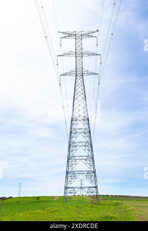 Lignes électriques à haute tension et pylônes dans un paysage agricole vert plat par une journée ensoleillée avec des nuages dans le ciel bleu. Vous pouvez voir d'autres tours derrière Banque D'Images