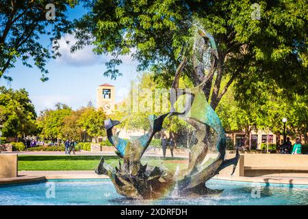 Stanford, Californie États-Unis - 22 mars 2017 : sauter en fontaine commence souvent à la fontaine Claw de l'Université de Stanford. Banque D'Images