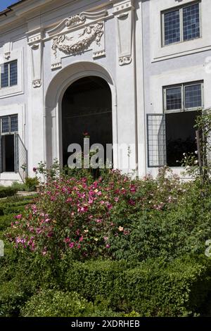 La Lemon House abritait les 500 agrumes en pot pendant l'hiver, avec un jardin de parterre et des roses devant. Jardins de Boboli, Florence, Italie Banque D'Images