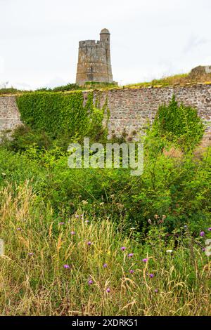 Mur de la Citadelle et Tour de la Hougue (Tour de la Hougue. Fortifications Vauban. Patrimoine mondial de l'UNESCO. Saint-Vaast-la-Hougue, Normandie, France. Banque D'Images