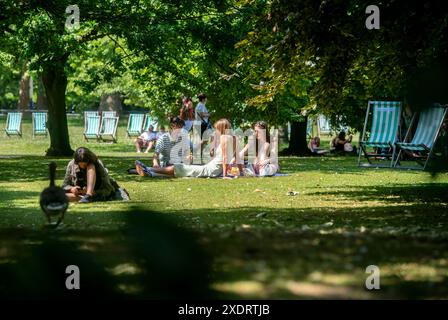 Les membres du public apprécient le soleil d'été à Green Park à Londres. Des sommets allant jusqu'à 31 °C ont été prévus pour cette semaine alors que les températures continuent d'augmenter dans tout le Royaume-Uni. Date de la photo : lundi 24 juin 2024. Banque D'Images