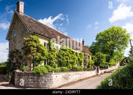 Wisteria et rosiers grimpants avec mur de pierre au bord de la route. Presbytère Somerset construit en calcaire local datant du 17ème siècle, sud-ouest de l'Angleterre, Royaume-Uni Banque D'Images