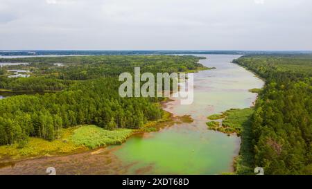 Beauté de la nature en hauteur. Drone aérien du lac Senftenberg, forêts verdoyantes. Senftenberg Lac Brandebourg Allemagne Banque D'Images