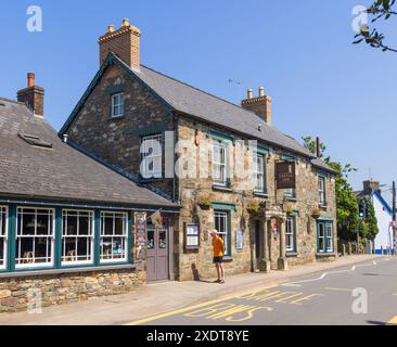 Extérieur de la maison publique Castle Inn (anciennement The Castle Hotel), Bridge St, Newport, Pembrokeshire. Pays de Galles. ROYAUME-UNI Banque D'Images