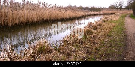 Upton Northampton Northamptonshire les gens marchent en marchant l'herbe rive de l'eau bord de ruisseau portes arbres campagne comté pays terre cours d'eau lac ruisseau Banque D'Images