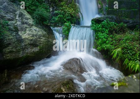 Cascade de Paglajhora , célèbre cascade en mousson, à Kurseong, montagnes himalayennes de Darjeeling, Bengale occidental, Inde. Origine du flux de la rivière Mahananda Banque D'Images