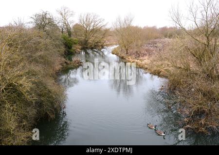 Upton Northampton Northamptonshire les gens marchent en marchant l'herbe rive de l'eau bord de ruisseau portes arbres campagne comté pays terre cours d'eau lac ruisseau Banque D'Images