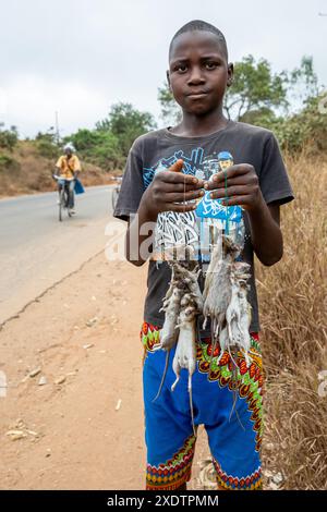 Mozambique, Sofala, Caia, vente de souris près de Caia Banque D'Images