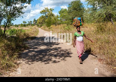 Mozambique, Sofala, Caia, Amambos, femme au village Banque D'Images