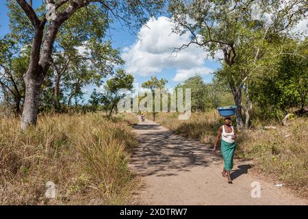 Mozambique, Sofala, Caia, Amambos, femme au village Banque D'Images