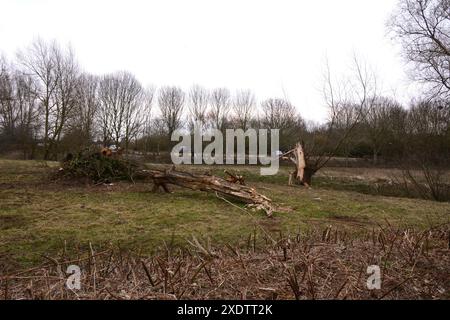 Upton Northampton Northamptonshire les gens marchent en marchant l'herbe rive de l'eau bord de ruisseau portes arbres campagne comté pays terre cours d'eau lac ruisseau Banque D'Images