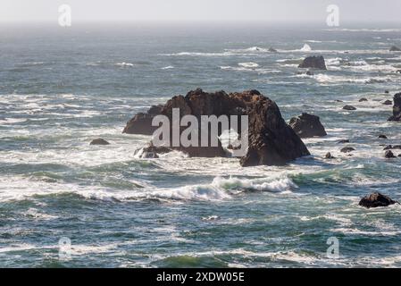 Vue sur le rocher arqué. Parc national de Sonoma Coast dans le comté de Sonoma, Californie. Banque D'Images