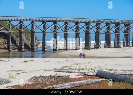 Le Pudding Creek Trestle. Fort Bragg, Californie. Banque D'Images
