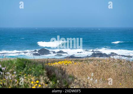 Vue d'au-dessus de Glass Beach. Fort Bragg, Californie. Banque D'Images