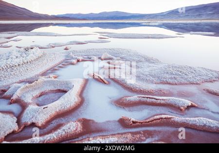 Paysages pittoresques fantastiques du nord de l'Argentine. De magnifiques paysages naturels inspirants. Laguna Verde à Salar Antofalla. Banque D'Images