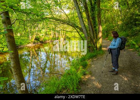 Marcher le long de la rivière Teign près de Stepps pont Devon Banque D'Images