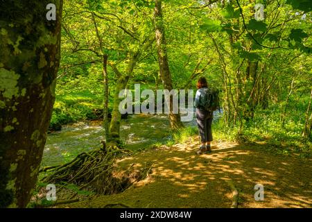 Marcher le long de la rivière Teign près de Stepps pont Devon Banque D'Images