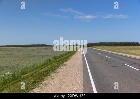 autoroute au printemps dans le champ, route étroite pavée en ligne droite à travers le champ Banque D'Images
