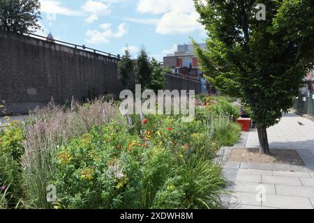 Castlegate Grey to Green Park Sheffield centre-ville Angleterre Royaume-Uni, Inner City Greenery public Garden plantes environnement urbain durabilité biodiversité Banque D'Images