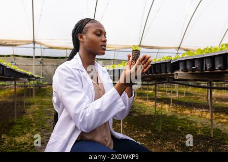 Agricultrice en serre examinant les jeunes plants pour l'agriculture hydroponique Banque D'Images