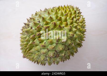 Fruit de durian exotique malodorant, connu pour sa peau épaisse et sa chair douce, odeur forte et distinctive, exotique produit l'Asie du Sud-est, goût distinctif Banque D'Images