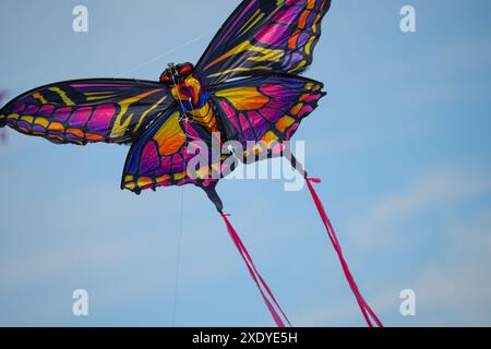 Cerf-volant en forme de papillon piloté dans un festival de cerf-volant familial au Knap, Barry. Sa longue queue attrape le vent et il monte en flèche. Banque D'Images