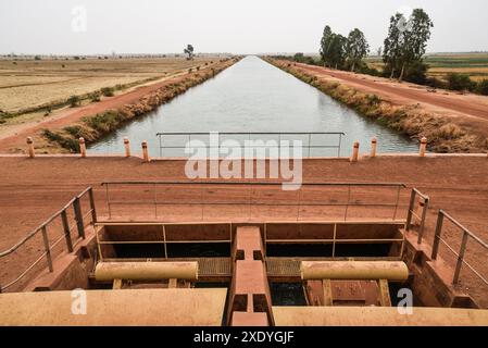 Nicolas Remene / le Pictorium - Office du Niger : Agriculture, maraîchage et paramètres irrigués - 19/02/2019 - Mali / Ségou / M'bewani - M'bewani, 19/02/2019. Régulateur de branche Tiogoni (niveau secondaire) 4 km de long. Régulateur avec vannes à vis automatiques. Banque D'Images