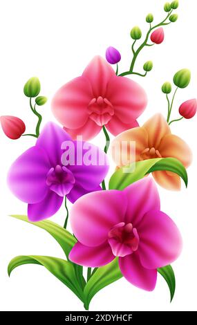 Illustration vectorielle de fleur d'orchidée mignonne avec une couleur rose brillante, violette et jaune et des feuilles vertes vives Illustration de Vecteur