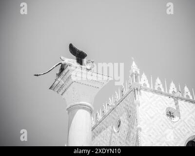 Venise, Italie - 30 juin 20220 image en noir et blanc de la statue du lion ailé debout sur une colonne avec une église vénitienne en arrière-plan Banque D'Images