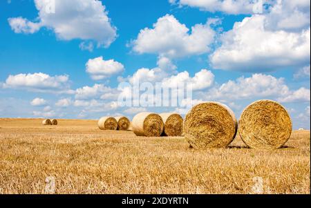 Haystacks dans le champ. Des nuages dans le ciel par une journée ensoleillée Banque D'Images