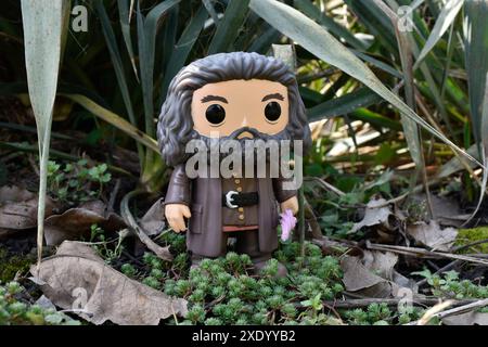 Funko Pop figurine d'action du gardien demi-géant Hagrid avec parapluie du film fantastique Harry Potter. Forêt fabuleuse, mousse, plantes, feuilles, herbe. Banque D'Images