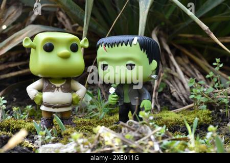 Funko Pop figurines de personnages fictifs ogre Shrek et le monstre de Frankenstein. Forêt verte fantastique, mousse, jardin, plantes, herbe. Banque D'Images