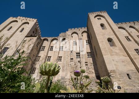 Avignon France. Jardin de l'impressionnant Palais des Papes, Palais des Papes, dans la vieille ville d'Avignon., Avignon, Provence, sud de la France. Banque D'Images