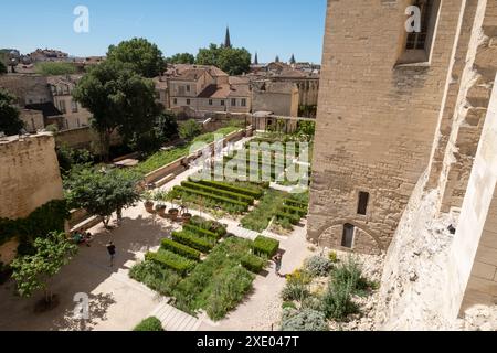 Avignon France. Jardin de l'impressionnant Palais des Papes, Palais des Papes, dans la vieille ville d'Avignon., Avignon, Provence, sud de la France. Banque D'Images