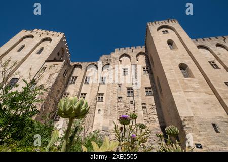 Avignon France. Jardin de l'impressionnant Palais des Papes, Palais des Papes, dans la vieille ville d'Avignon., Avignon, Provence, sud de la France. Banque D'Images