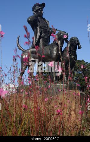 Statue de chasseur et de chiens, portant une vraie casquette! Vue à travers une brume de fleurs roses sur un ciel bleu clair dans les jardins botaniques royaux de Sydney Banque D'Images