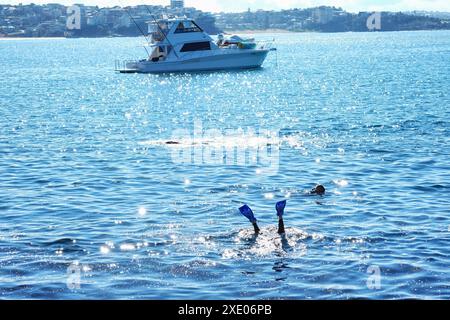 Un plongeur jambes et palmes sortant de l'eau à la réserve aquatique de Cabbage Tree Bay près de la piscine océanique de Fairy Bower à Manly, Sydney, Australie Banque D'Images