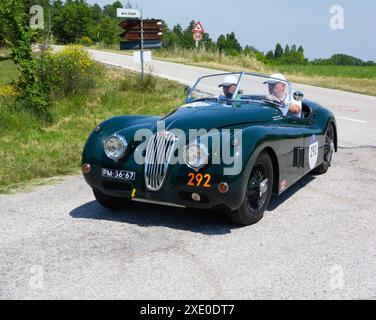 JAGUAR XK140 OTS ROADSTER 1956 sur une vieille voiture de course dans le rallye mille Miglia 2022 la célèbre course historique italienne Banque D'Images