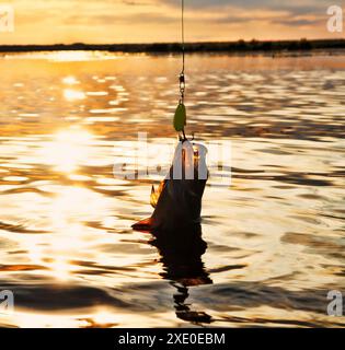 Au coucher du soleil, pêche Banque D'Images