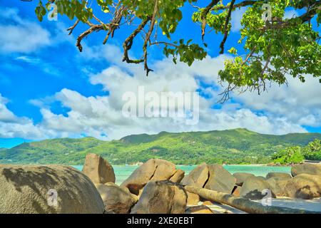 Plage d'Anse Parnel, eau turquoise ciel bleu, journée ensoleillée à marée basse, plage de sable blanc, cocotiers et hamac, Mahé, Seychelles Banque D'Images