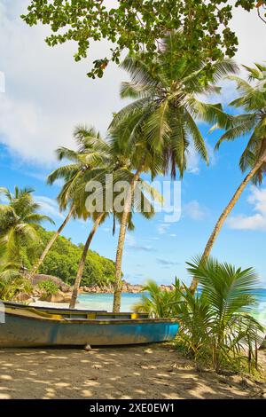 Bateau de pêcheur amarré sur le sable sous des cocotiers près de la plage de l'Anse Takamaka, journée ensoleillée avec ciel bleu et plage de sable blanc, turquoise Banque D'Images