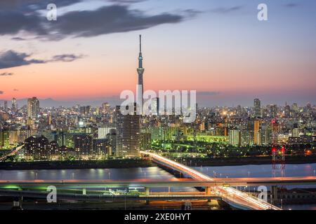 Tokyo, Japon, horizon de la ville au crépuscule. Banque D'Images