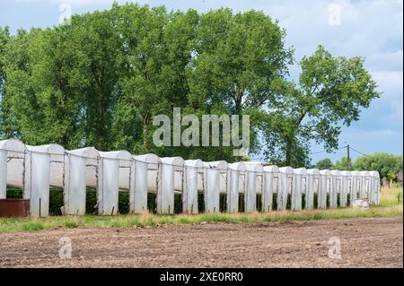 Serres en plastique et sol brun labouré dans un champ agricole autour de Ternat, Flandre, Belgique Banque D'Images