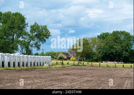 Serres en plastique et sol brun labouré dans un champ agricole autour de Ternat, Flandre, Belgique Banque D'Images