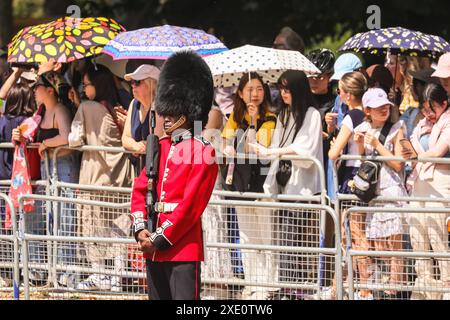 Londres, Royaume-Uni. 25 juin 2024. Des spectateurs enthousiastes, dont certains ont apporté des drapeaux japonais, se mettent à l'abri du soleil avec des parapluies. L'empereur Naruhito et l'impératrice Masako du Japon effectuent une visite d'État de trois jours au Royaume-Uni. Ils reçoivent un accueil cérémoniel à Horse Guards Parade, accompagné d'une promenade traditionnelle en calèche jusqu'au Mall avec le roi Charles III, la reine Camilla et William, le prince de Galles. Crédit : Imageplotter/Alamy Live News Banque D'Images