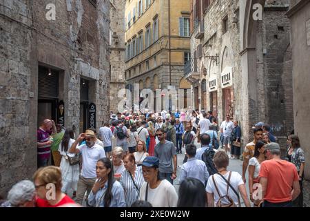 Sienne, Italie - 25 juin 2024 : foules de personnes vues dans les rues de Sienne, Italie. Banque D'Images