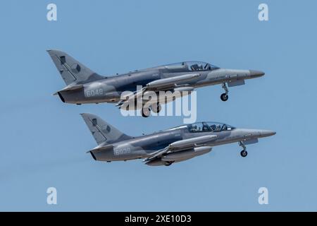 Avion Aero l-159A ALCA de l'armée de l'air tchèque au salon aéronautique de Beja Banque D'Images