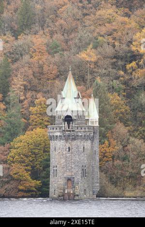 Autour du lac Vyrnwy en automne, Powys, Mid Wales, Royaume-Uni Banque D'Images